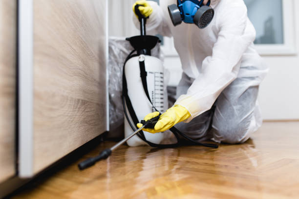 Pest Control for Restaurants in South Bay, FL