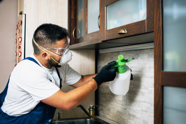 Best Bed Bug Extermination  in South Bay, FL