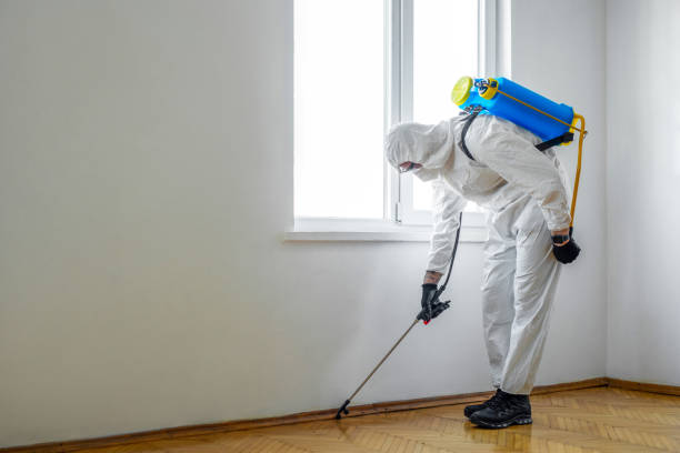 Flea Control Services in South Bay, FL